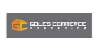 Flavia partner  logo